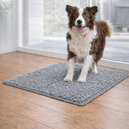 Tapis absorbant pour chien - Propreté immédiate après chaque promenade